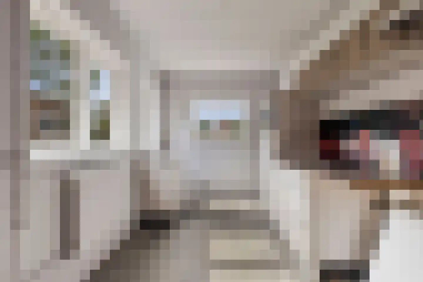 Jufferswegje 5 Kapelle thumbnail 15
