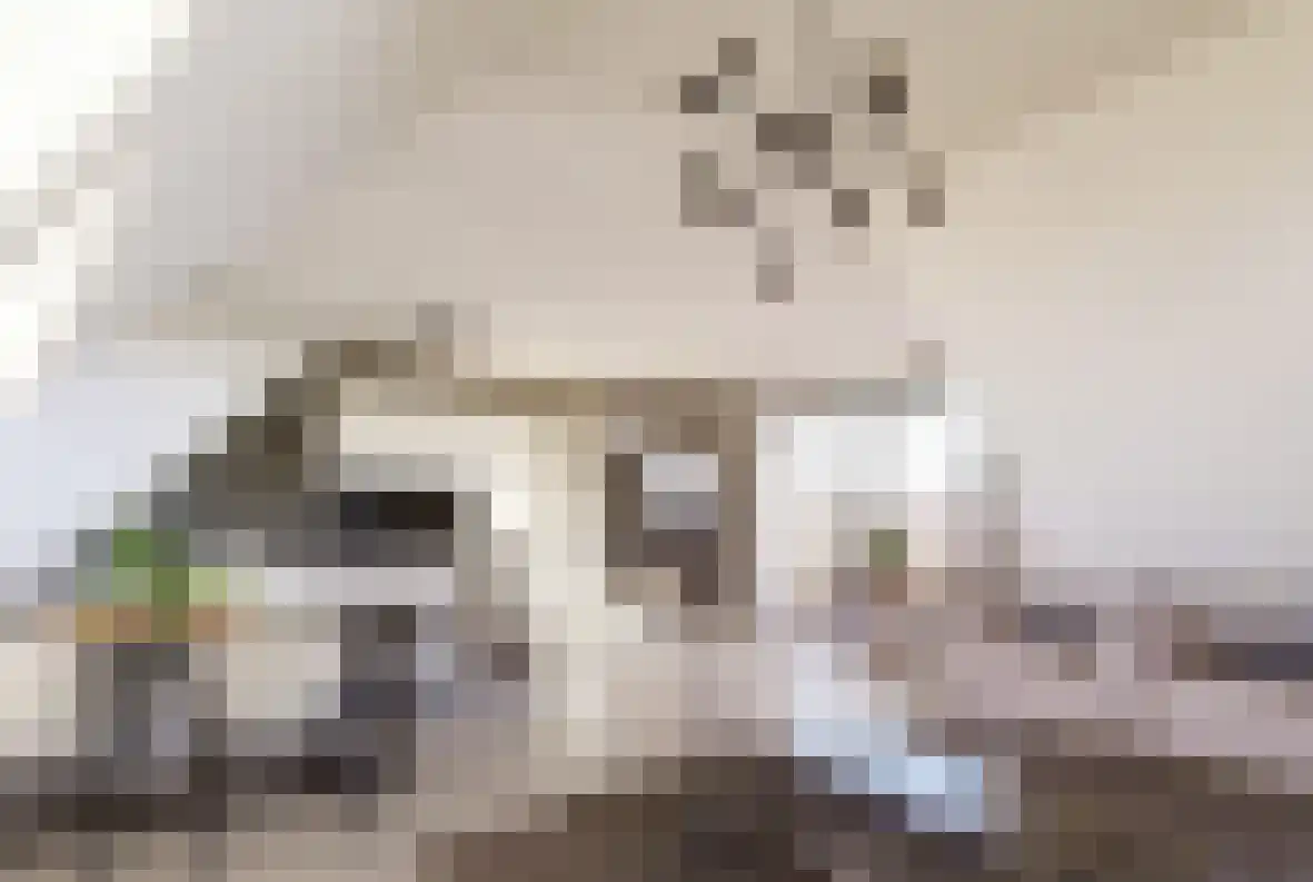 Jufferswegje 7 Kapelle thumbnail 15