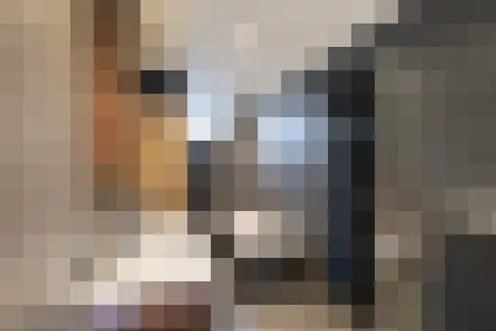 Jufferswijk 4 De Klomp thumbnail 17