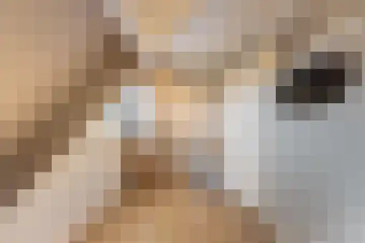 Jufferswijk 4 De Klomp thumbnail 31
