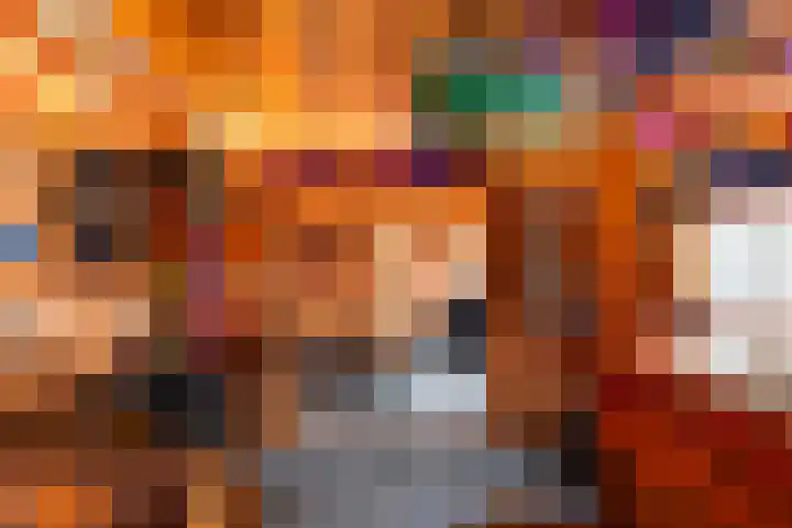Jufferswijk 4 De Klomp thumbnail 44