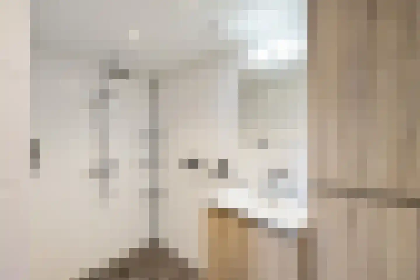 Juffertoren 23 Holwierde thumbnail 16