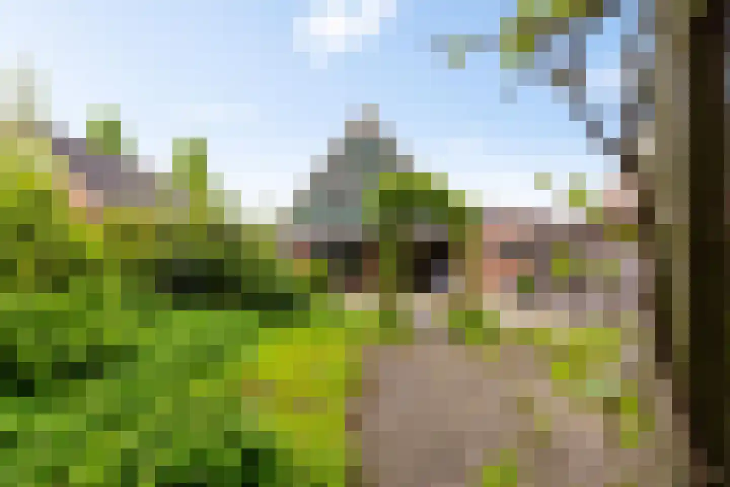Juffertoren 23 Holwierde thumbnail 31