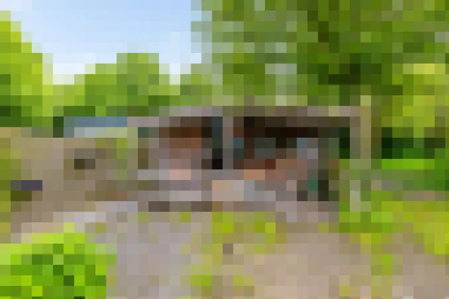 Juffertoren 23 Holwierde thumbnail 32