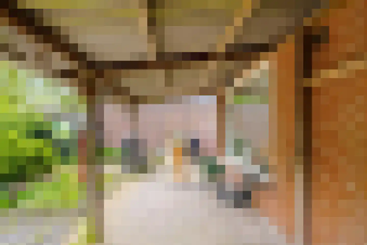 Juffertoren 23 Holwierde thumbnail 34