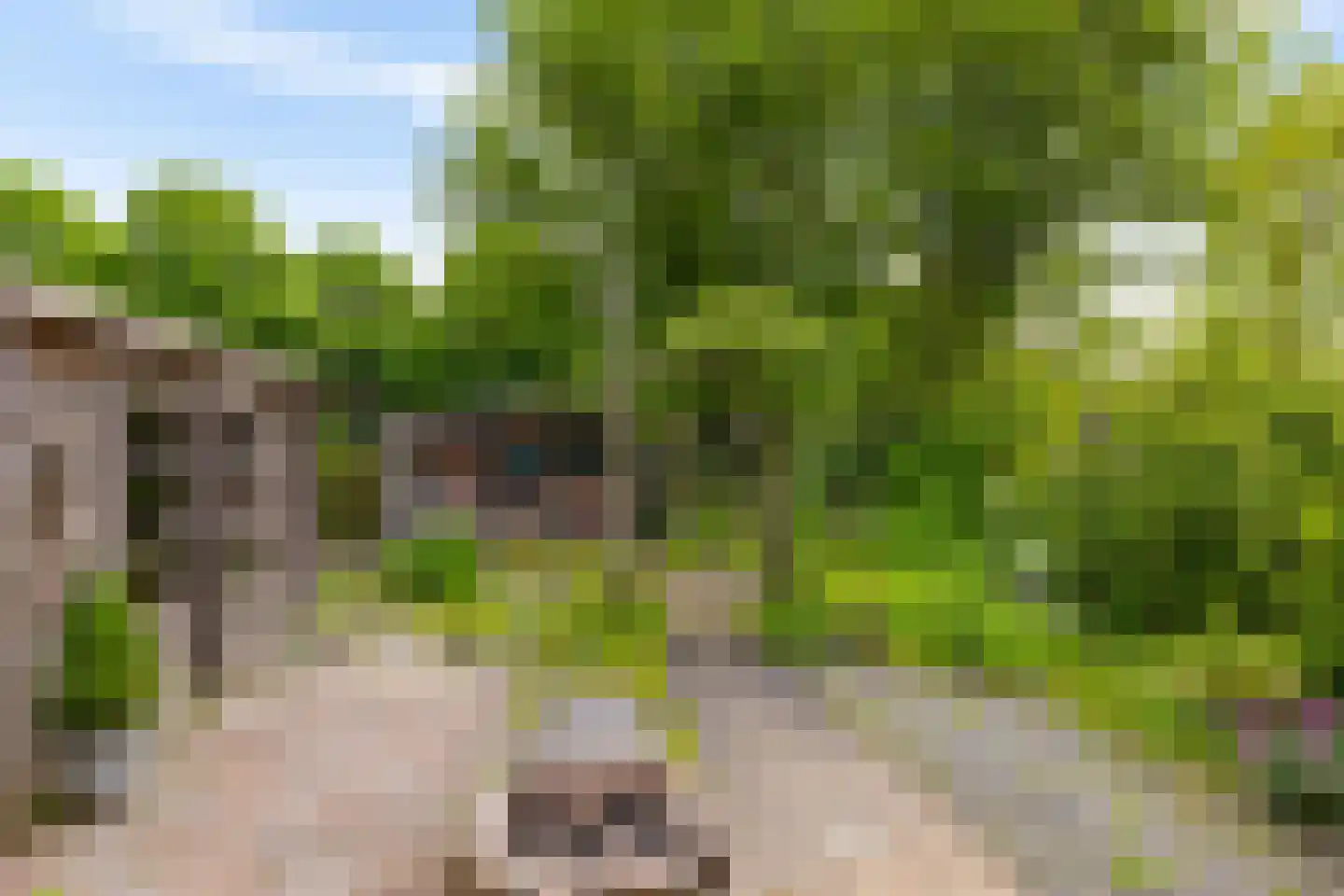 Juffertoren 23 Holwierde thumbnail 35