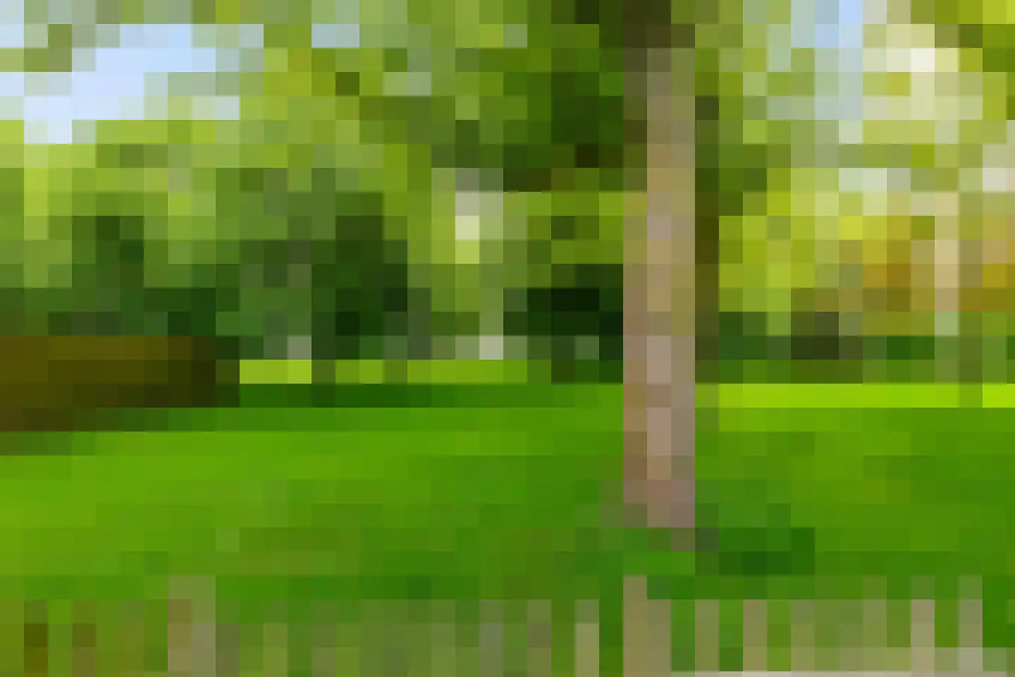 Juffertoren 23 Holwierde thumbnail 4