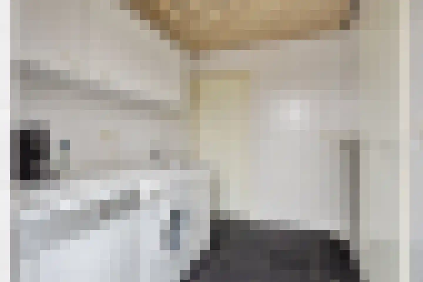 Juffr Tempelmanlaan 14 Nuenen thumbnail 20