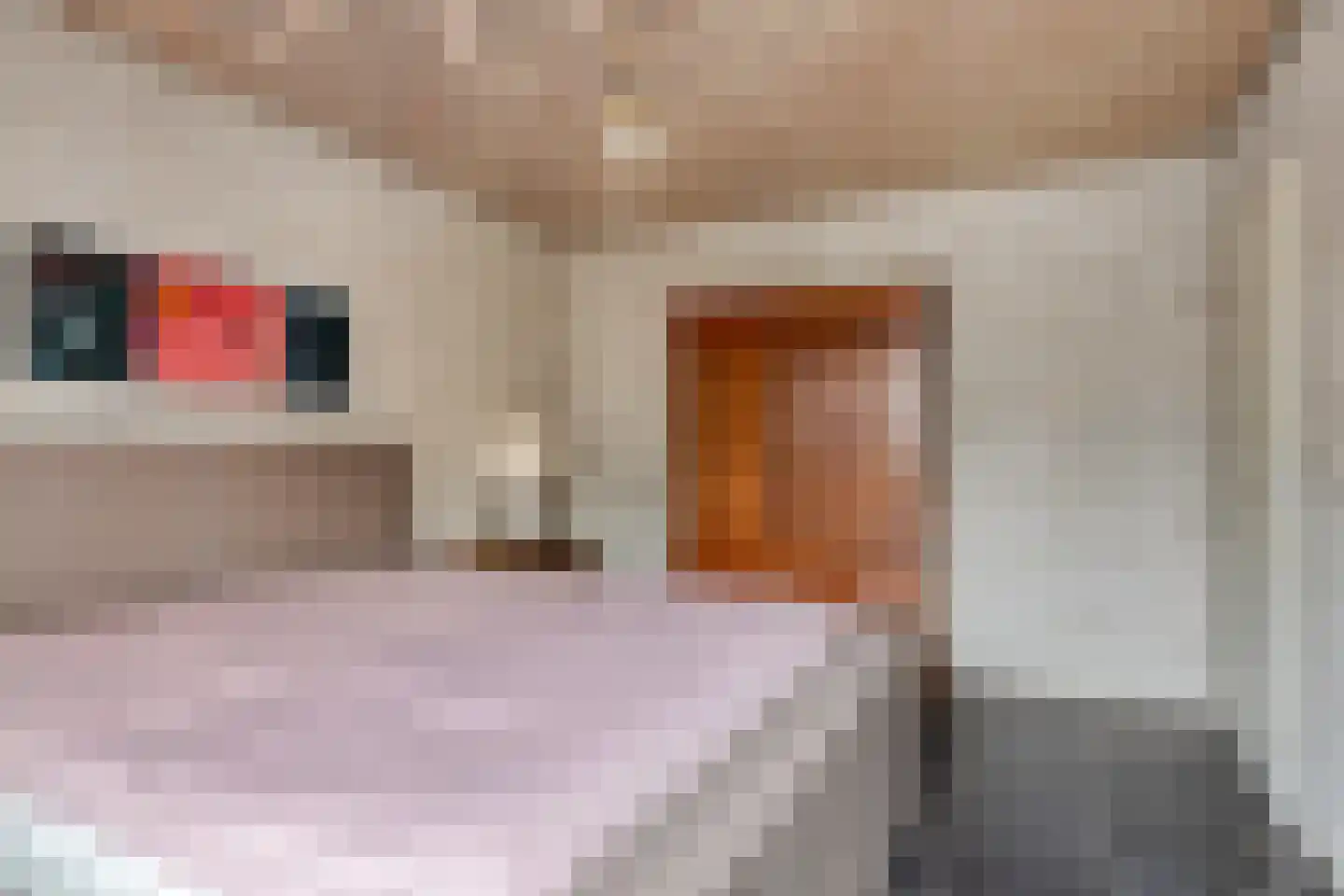Juffr Tempelmanlaan 14 Nuenen thumbnail 25