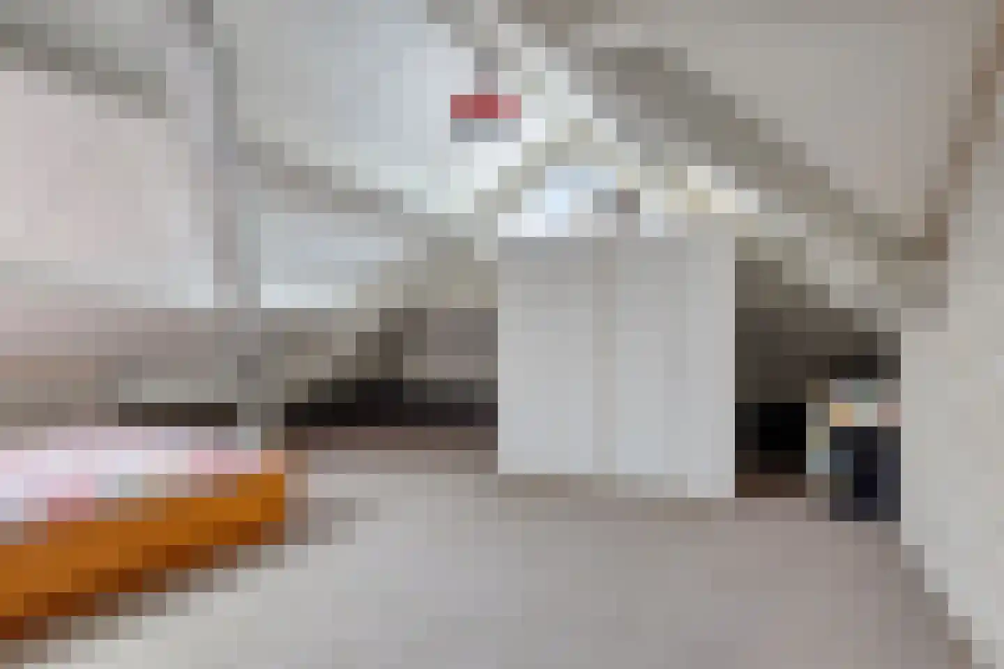 Juffr Tempelmanlaan 14 Nuenen thumbnail 37