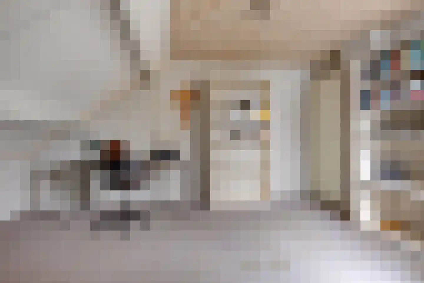 Juffr Tempelmanlaan 14 Nuenen thumbnail 43