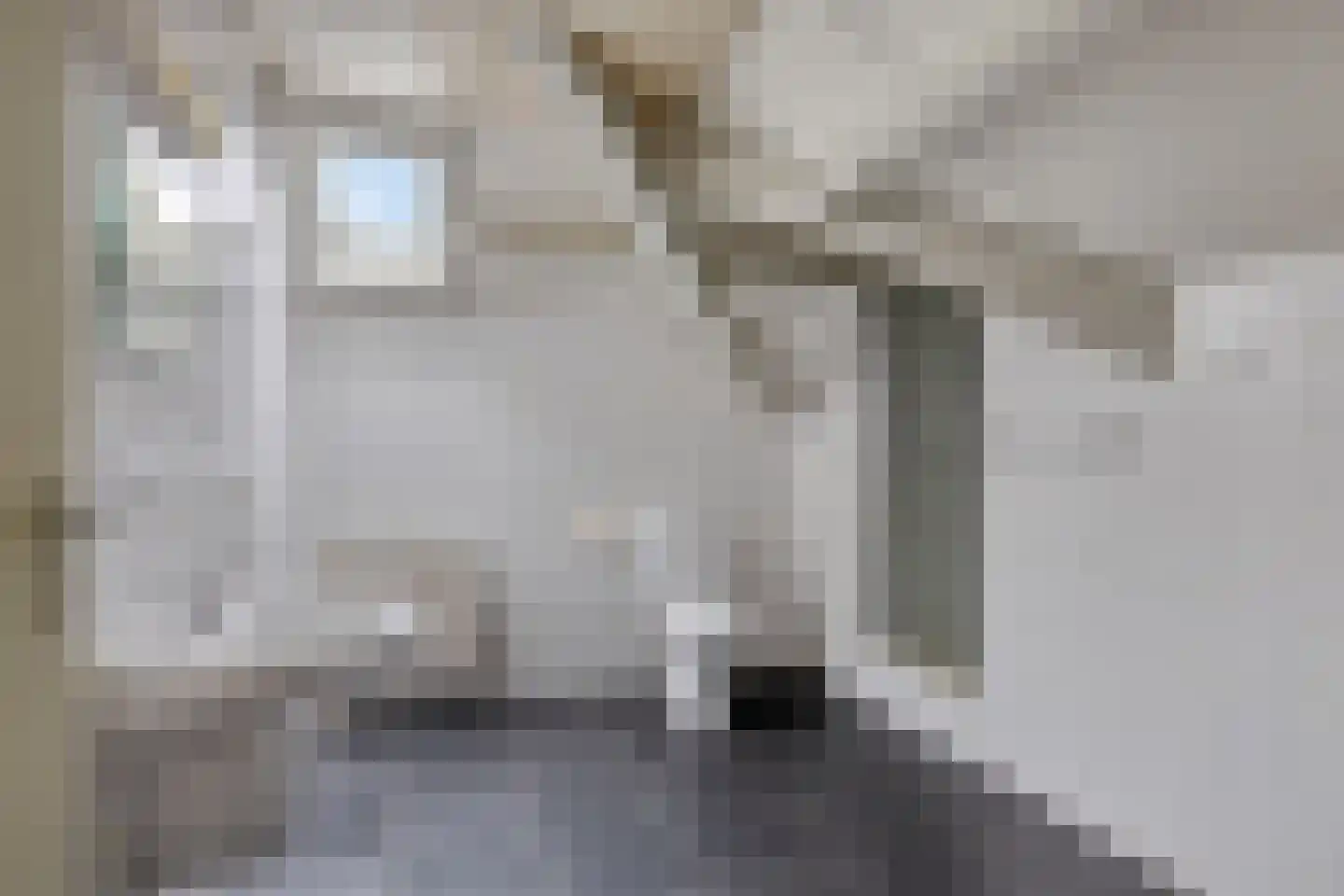 Juffr Tempelmanlaan 14 Nuenen thumbnail 47