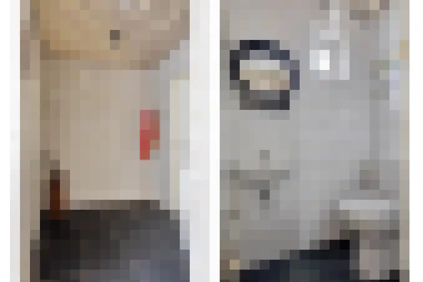 Juffr Tempelmanlaan 14 Nuenen thumbnail 5