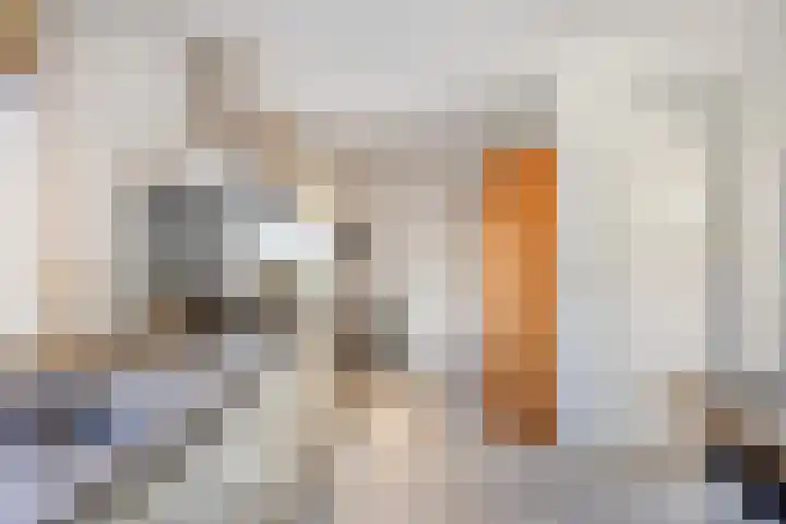 Juffr Tempelmanlaan 18 Nuenen thumbnail 14