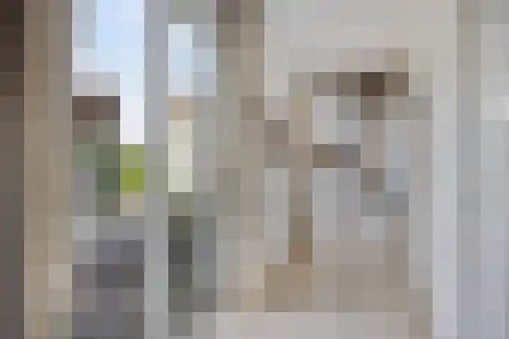 Juffr Tempelmanlaan 18 Nuenen thumbnail 15