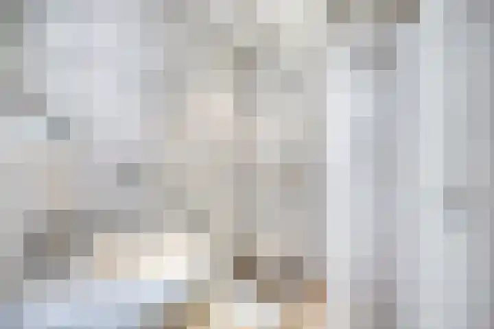 Juffr Tempelmanlaan 18 Nuenen thumbnail 24