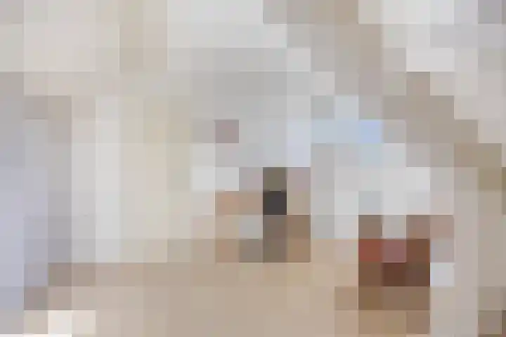 Juffr Tempelmanlaan 18 Nuenen thumbnail 27