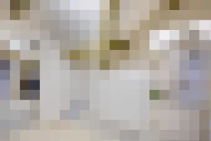 Juffr Tempelmanlaan 18 Nuenen thumbnail 28