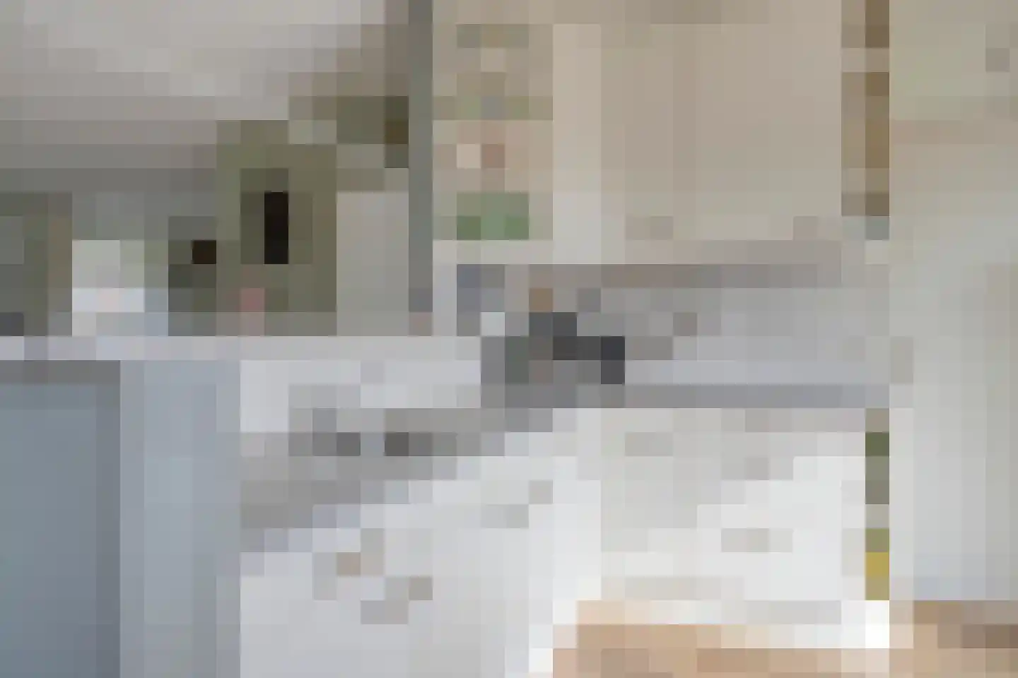 Juffrouw Bosstraat 11 Zorgvlied thumbnail 8