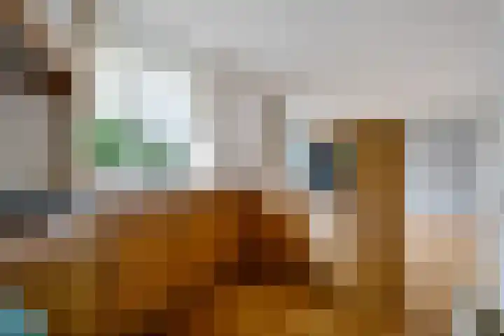 Juffrouw Bosstraat 7 Zorgvlied thumbnail 12