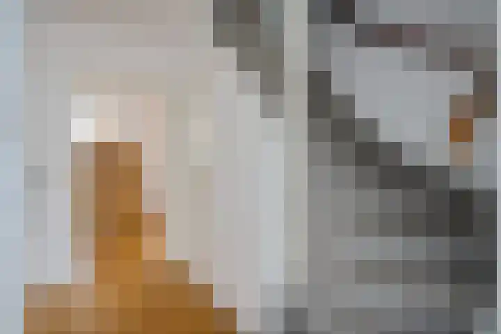 Juffrouw Bosstraat 7 Zorgvlied thumbnail 18
