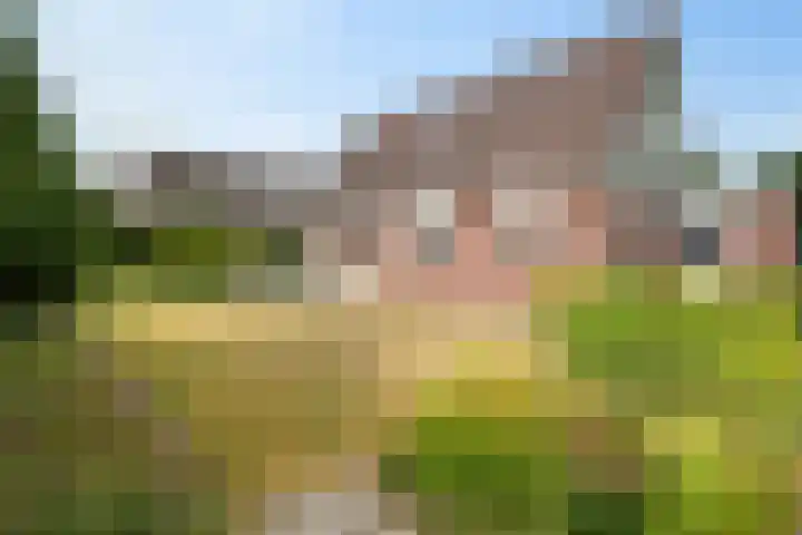 Juffrouw Bosstraat 7 Zorgvlied thumbnail 28