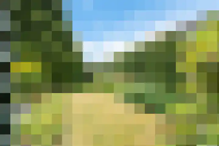 Juffrouw Bosstraat 7 Zorgvlied thumbnail 29