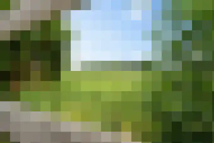 Juffrouw Bosstraat 7 Zorgvlied thumbnail 30