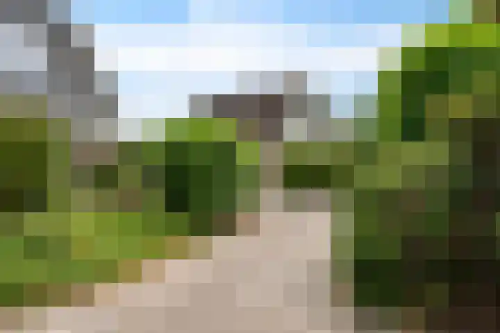 Juffrouw Bosstraat 7 Zorgvlied thumbnail 33