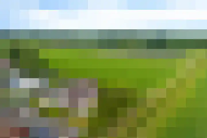 Juffrouw Bosstraat 7 Zorgvlied thumbnail 35
