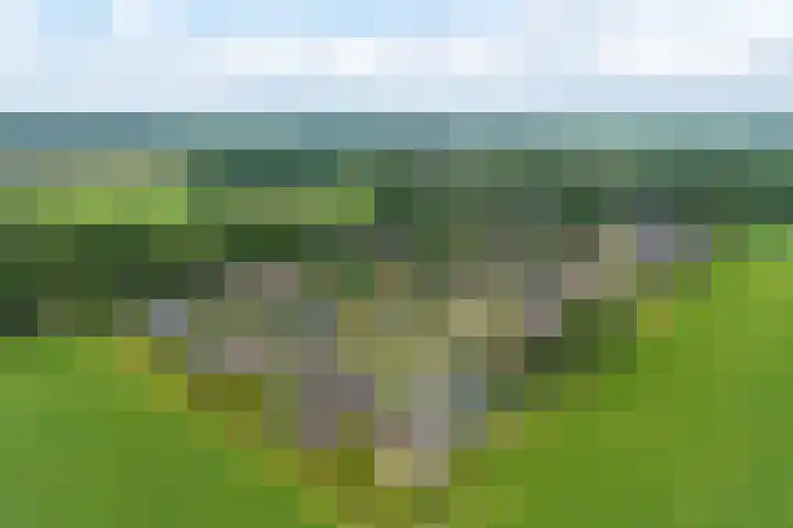 Juffrouw Bosstraat 7 Zorgvlied thumbnail 36