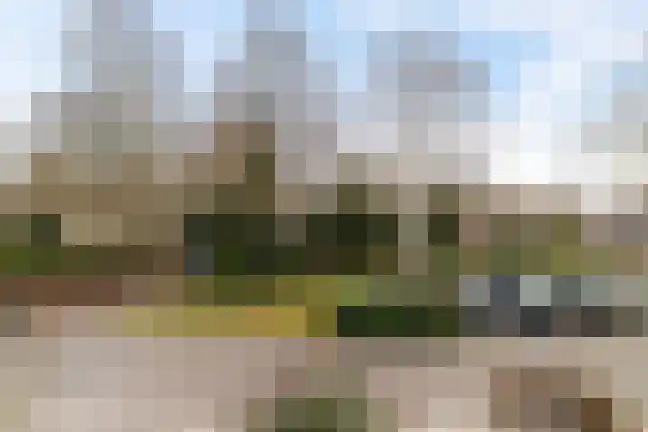 Juffrouw Clewitsstraat 14 Roden thumbnail 28