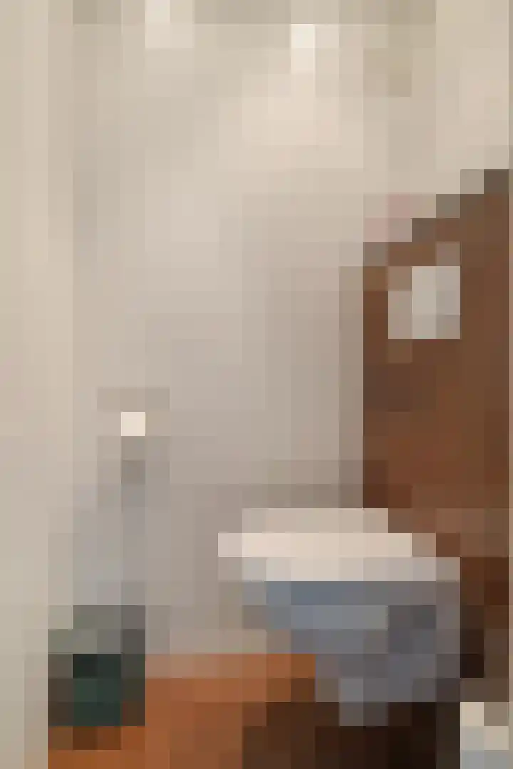 Juffrouw Clewitsstraat 14 Roden thumbnail 31
