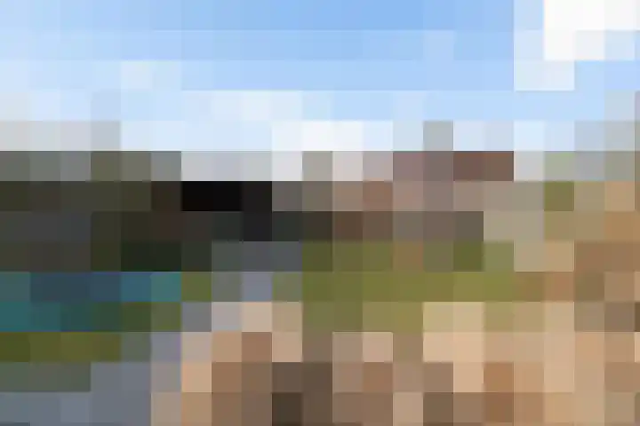 Juffrouw Clewitsstraat 14 Roden thumbnail 36