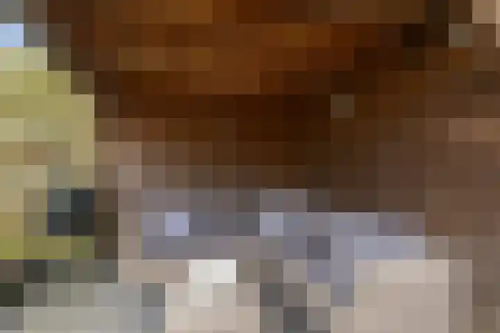 Juffrouw Clewitsstraat 14 Roden thumbnail 37