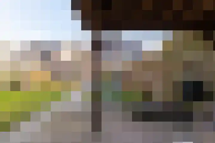 Juffrouw Clewitsstraat 14 Roden thumbnail 38