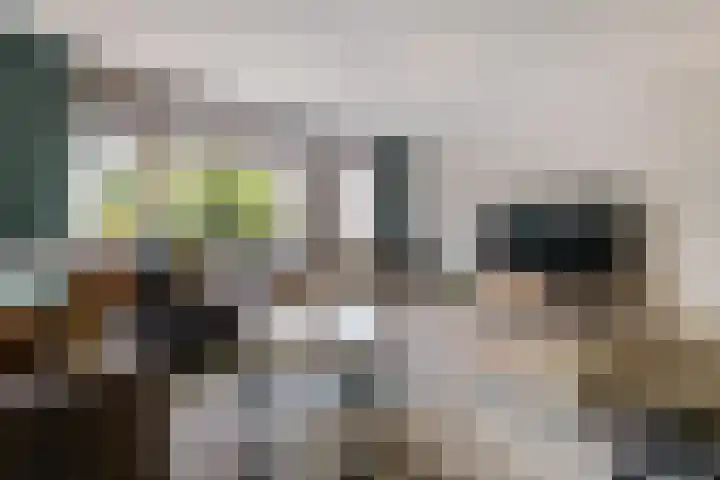 Juffrouw Clewitsstraat 14 Roden thumbnail 5