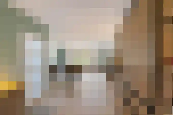 Juffrouw Clewitsstraat 14 Roden thumbnail 8