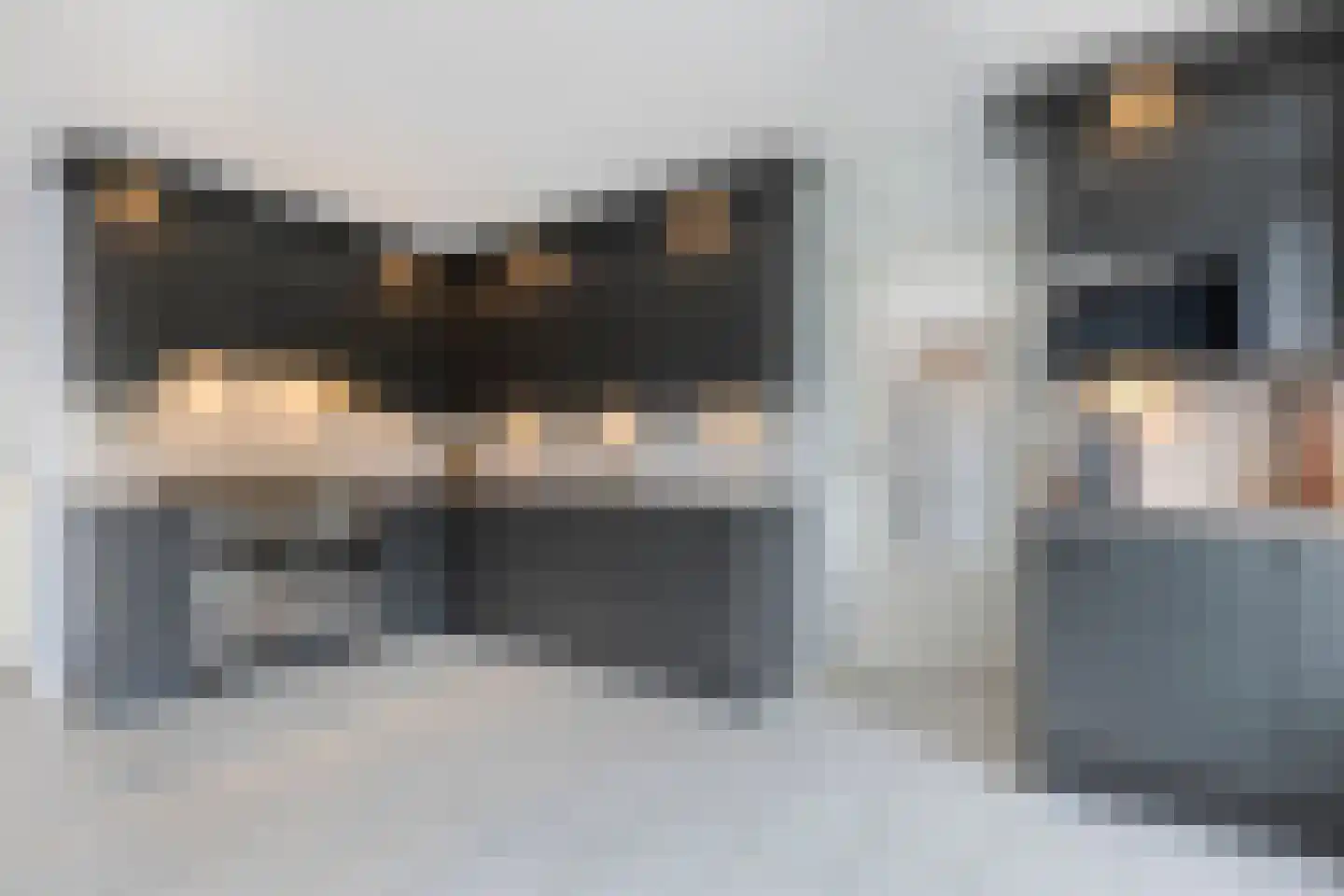 Juffrouw Clewitsstraat 21 Roden thumbnail 15