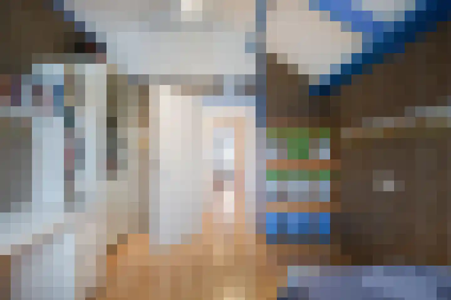 Juffrouw Clewitsstraat 21 Roden thumbnail 23