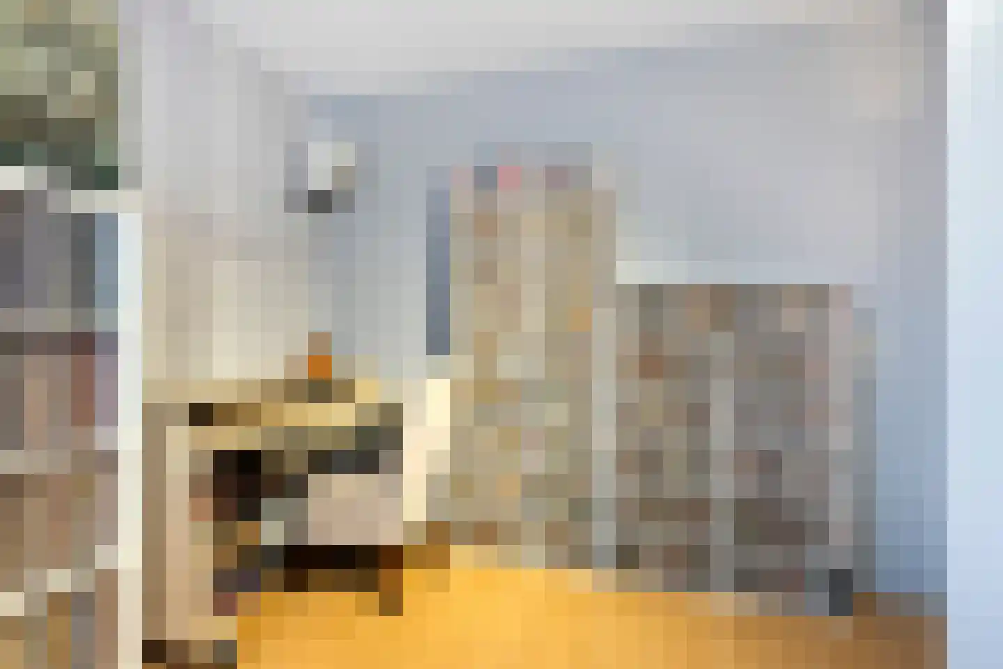 Juffrouw Clewitsstraat 21 Roden thumbnail 25