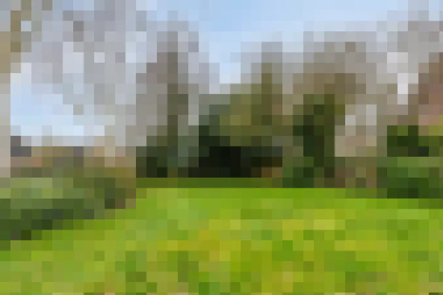 Juffrouw Clewitsstraat 21 Roden thumbnail 40