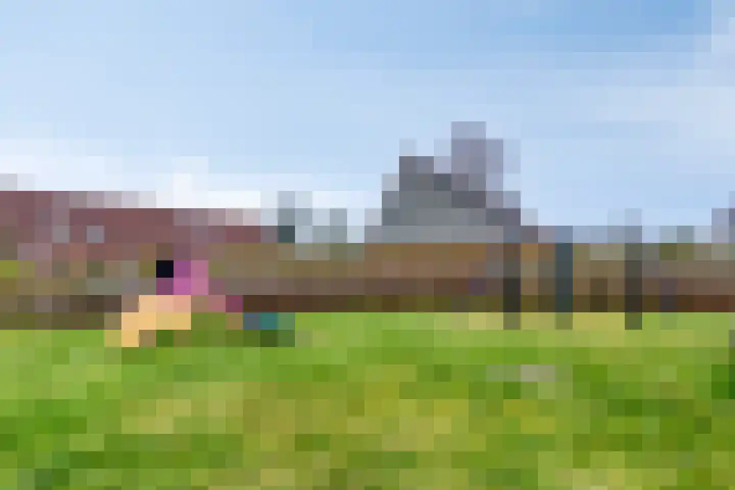 Juffrouw Clewitsstraat 21 Roden thumbnail 41