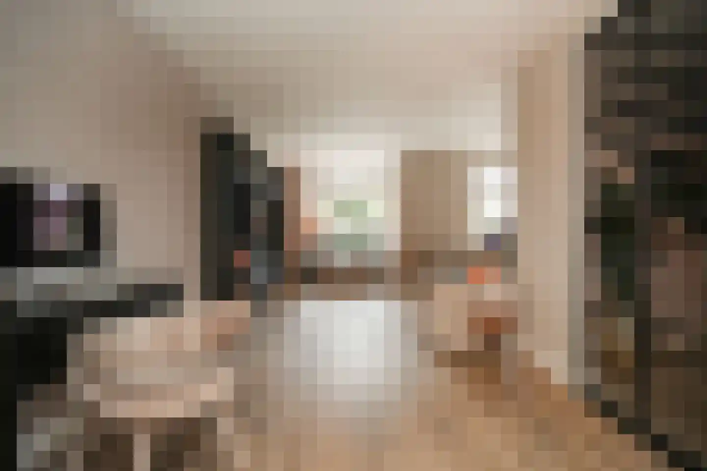 Juffrouw H Scholtenstraat 18 Kesteren thumbnail 15