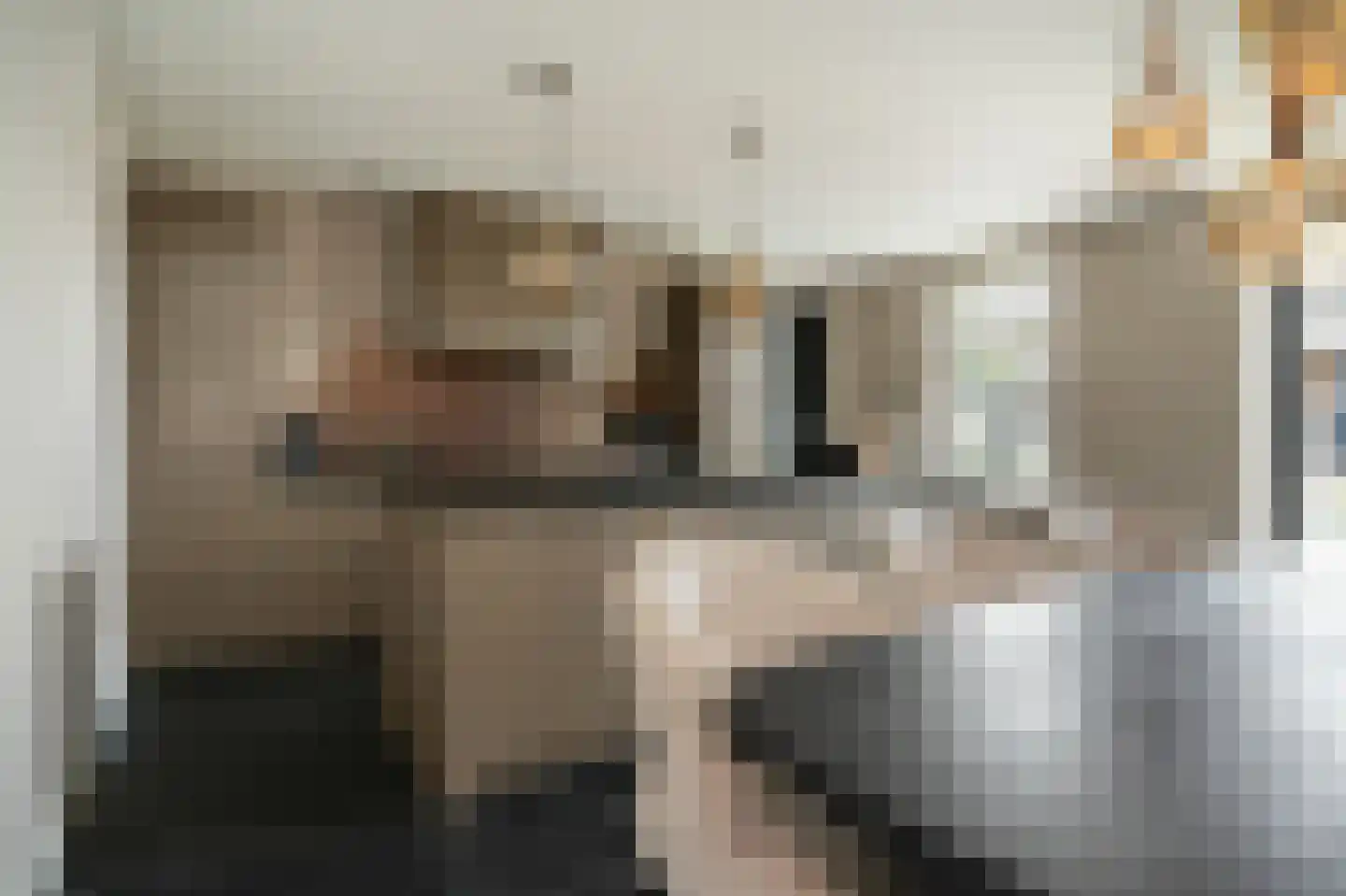 Juffrouw H Scholtenstraat 18 Kesteren thumbnail 19