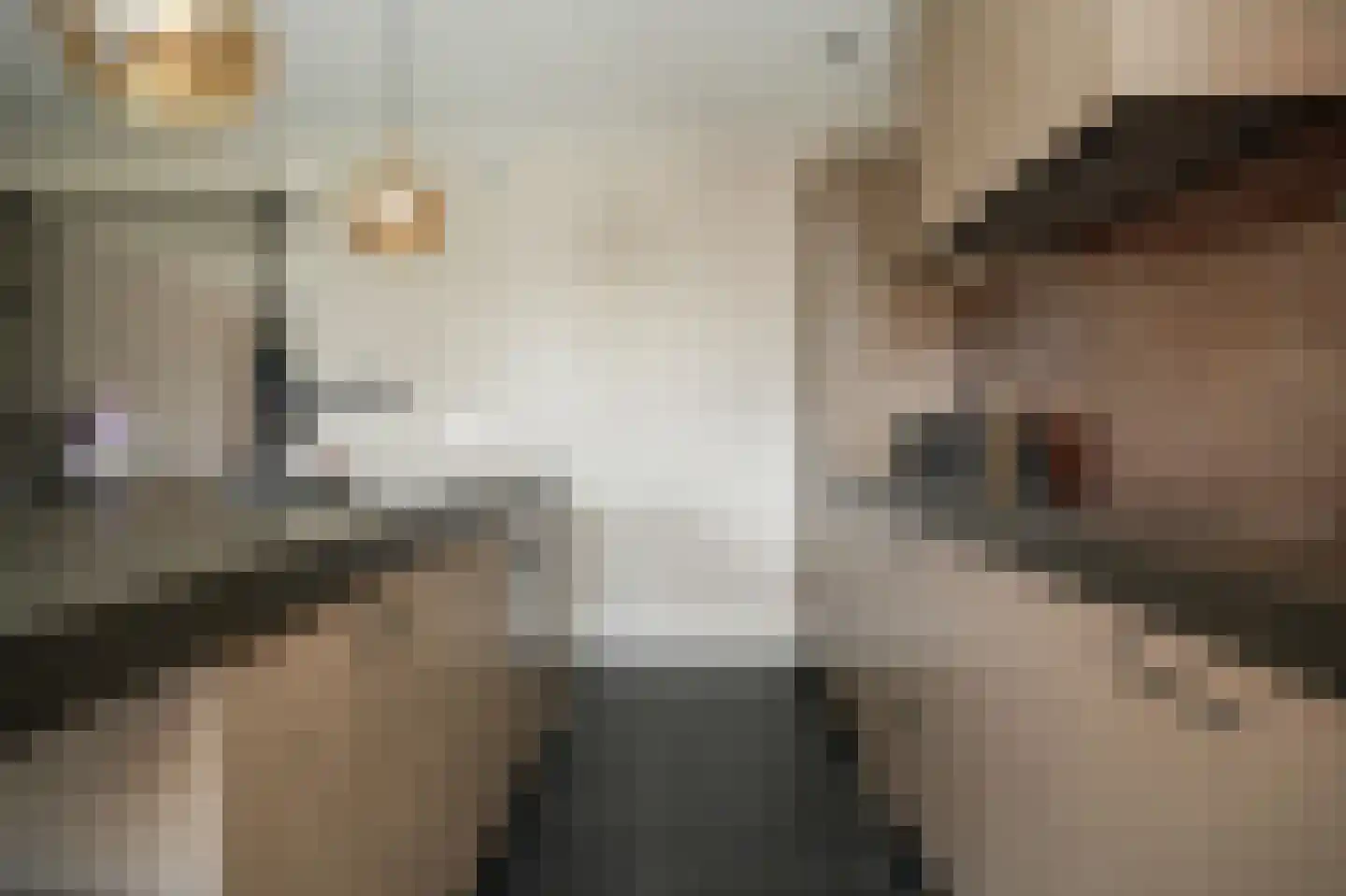 Juffrouw H Scholtenstraat 18 Kesteren thumbnail 21