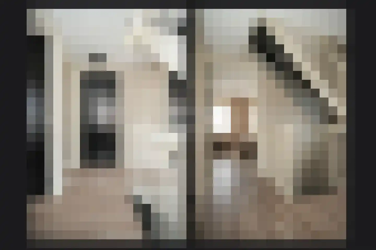 Juffrouw H Scholtenstraat 18 Kesteren thumbnail 24