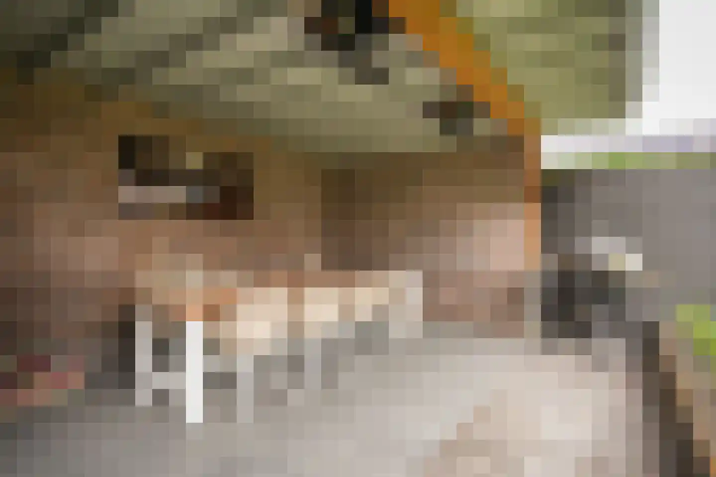 Juffrouw H Scholtenstraat 18 Kesteren thumbnail 39