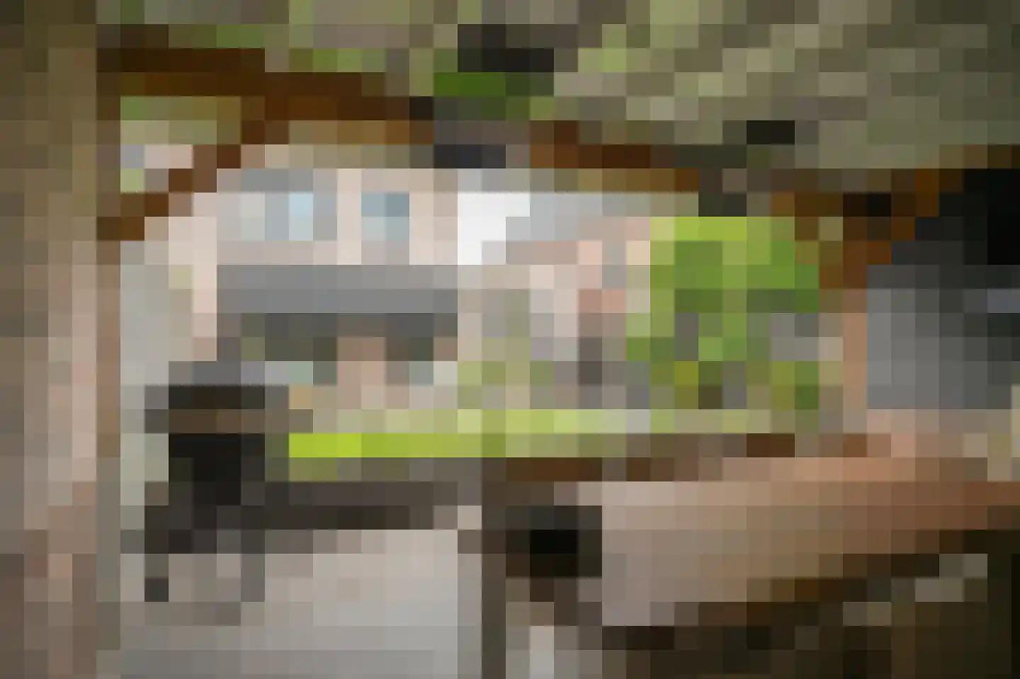 Juffrouw H Scholtenstraat 18 Kesteren thumbnail 41