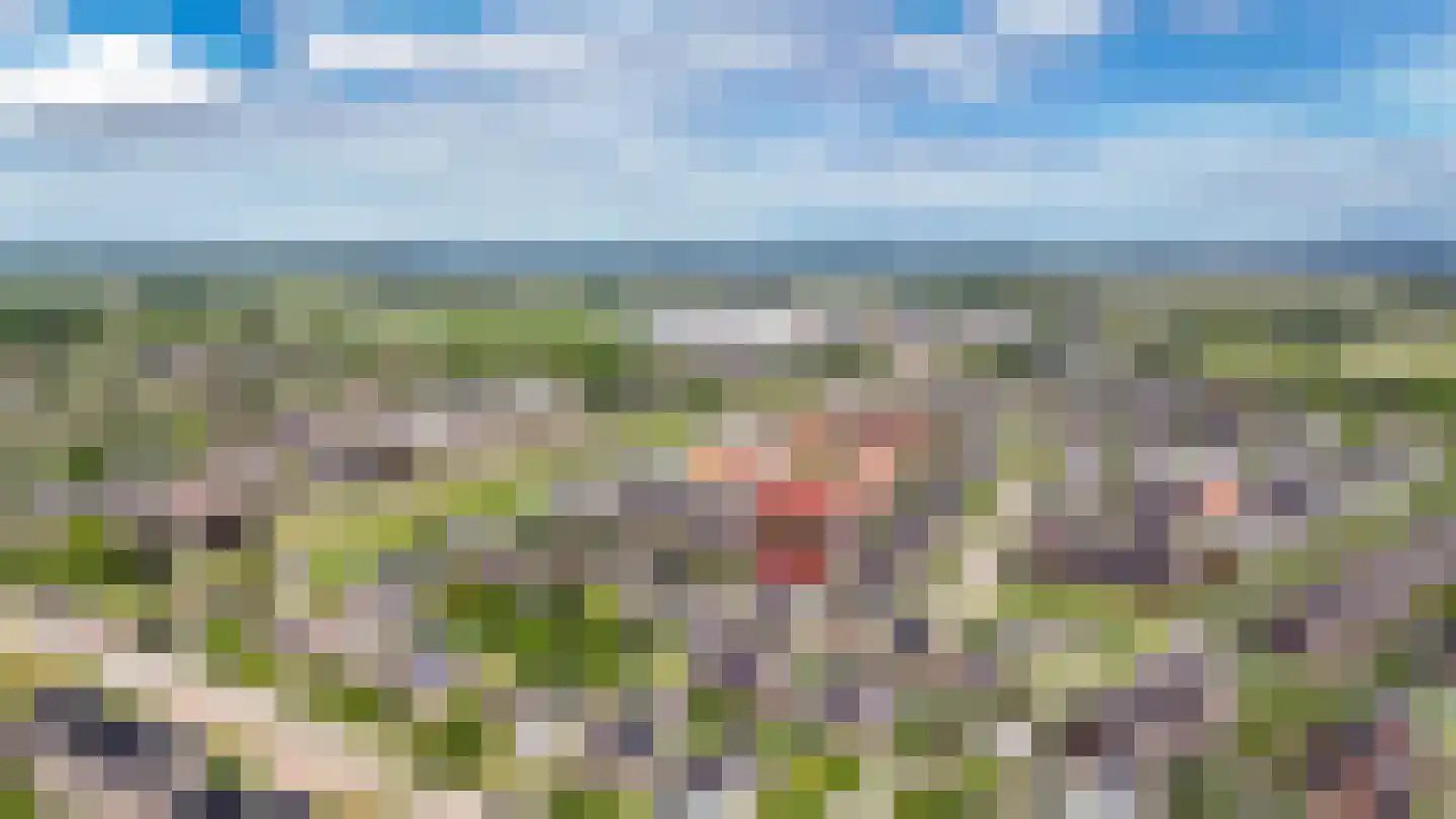 Juffrouw H Scholtenstraat 18 Kesteren thumbnail 52
